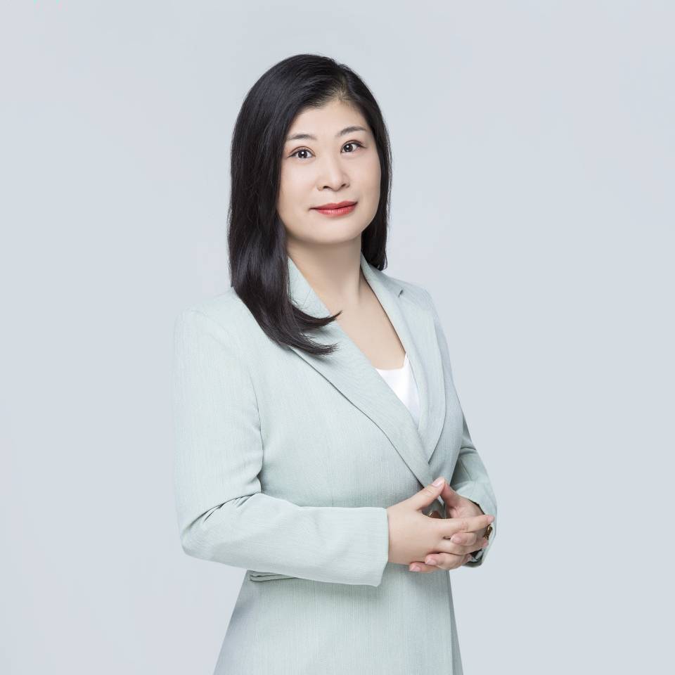 合同纠纷/股东诉讼/行政诉讼